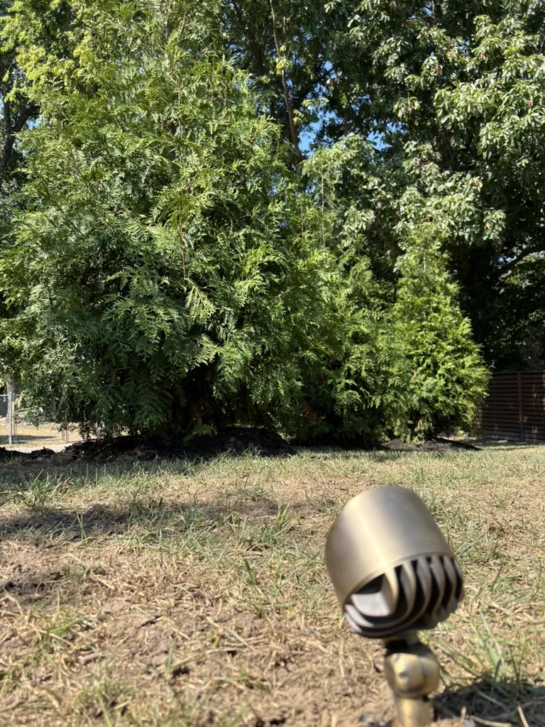 Brass spotlight fixture for tree uplighting in Kansas City landscape
