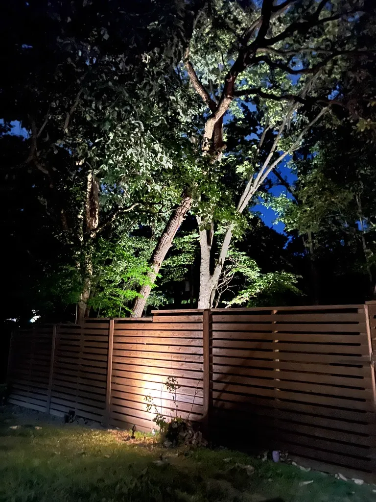 Fence and tree accent lighting at night in Kansas City backyard