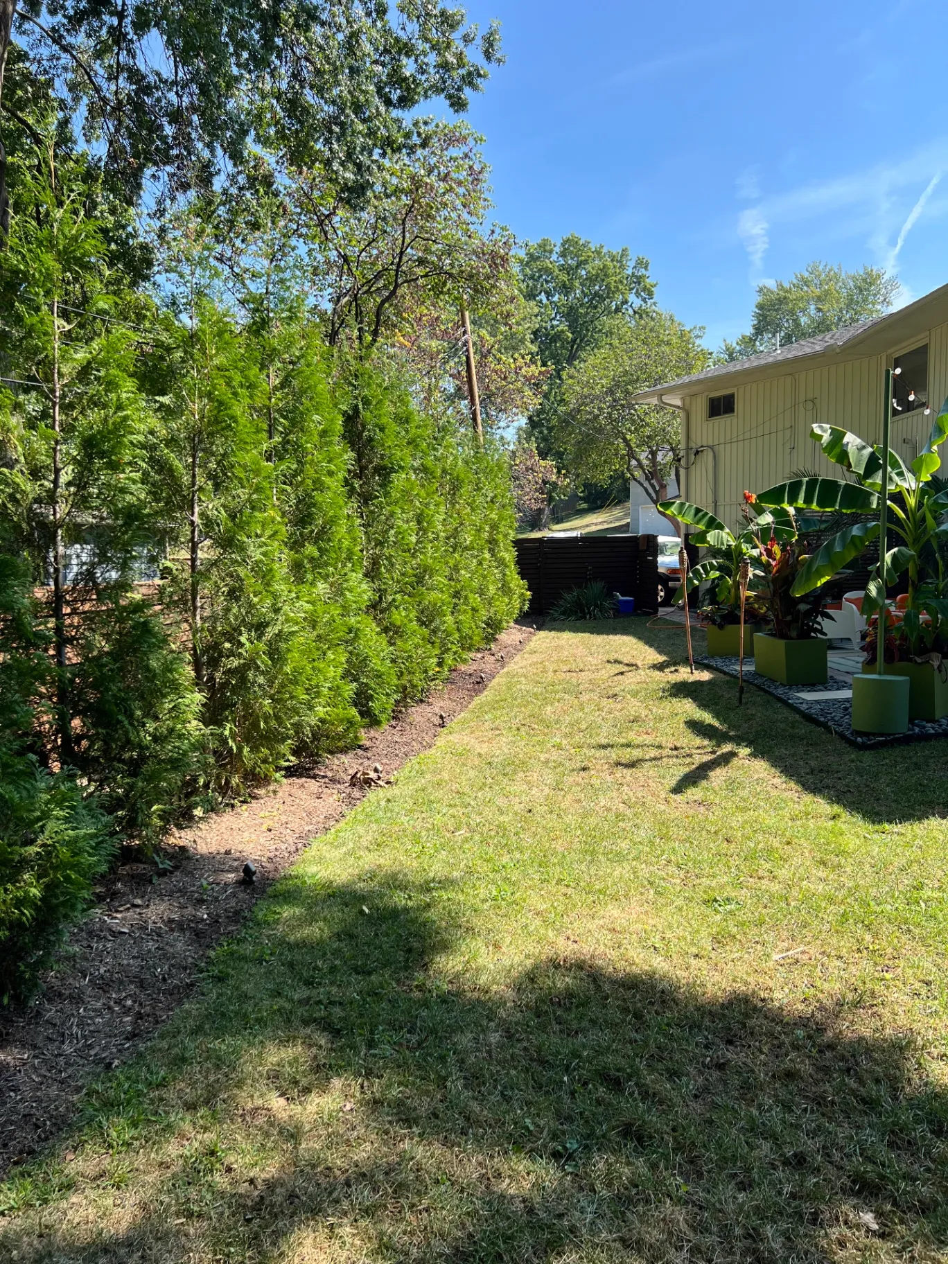 Landscaping in Kansas City: The Benefits of Planting Trees & Plants on Your Property