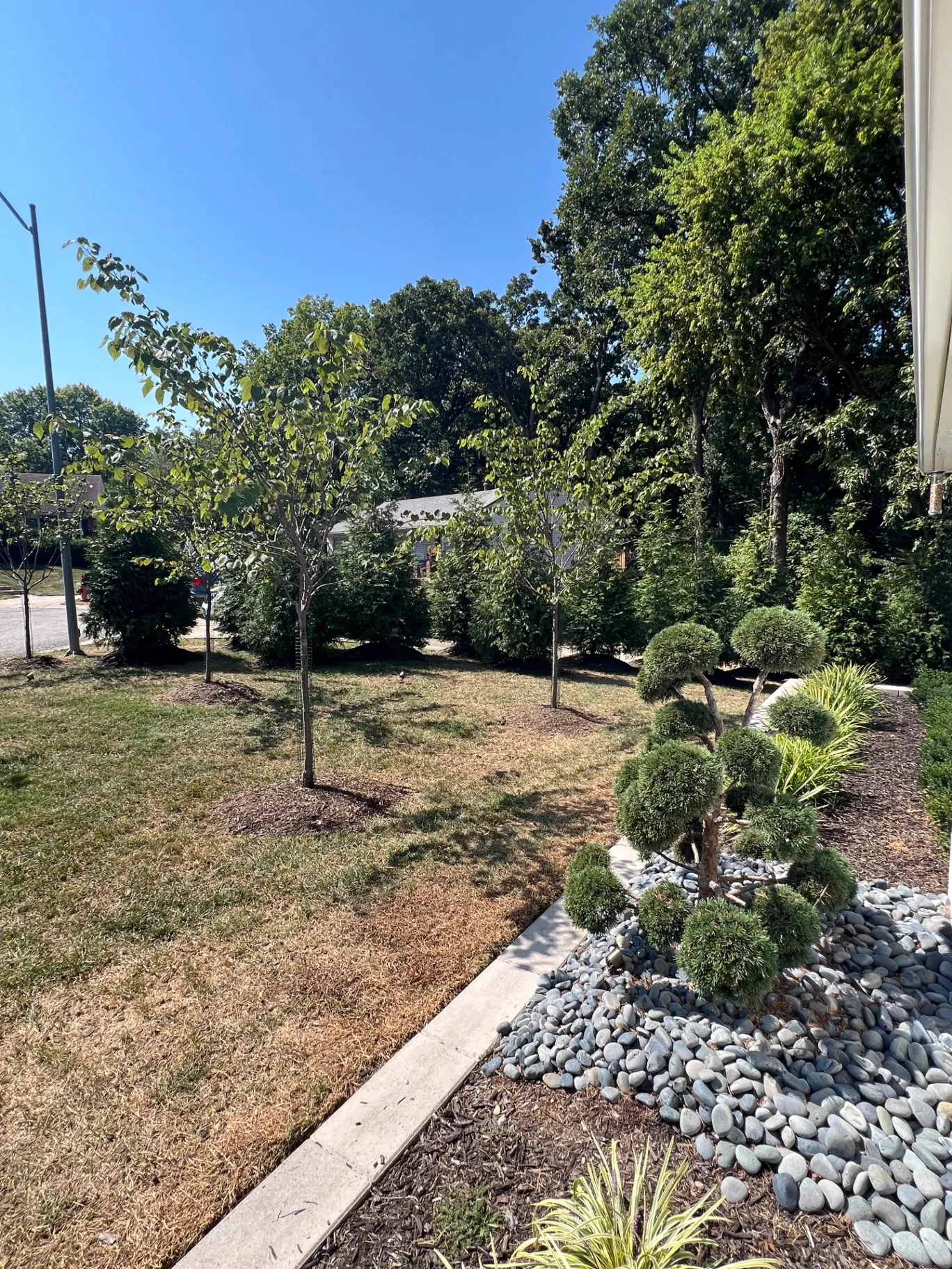 Landscaping