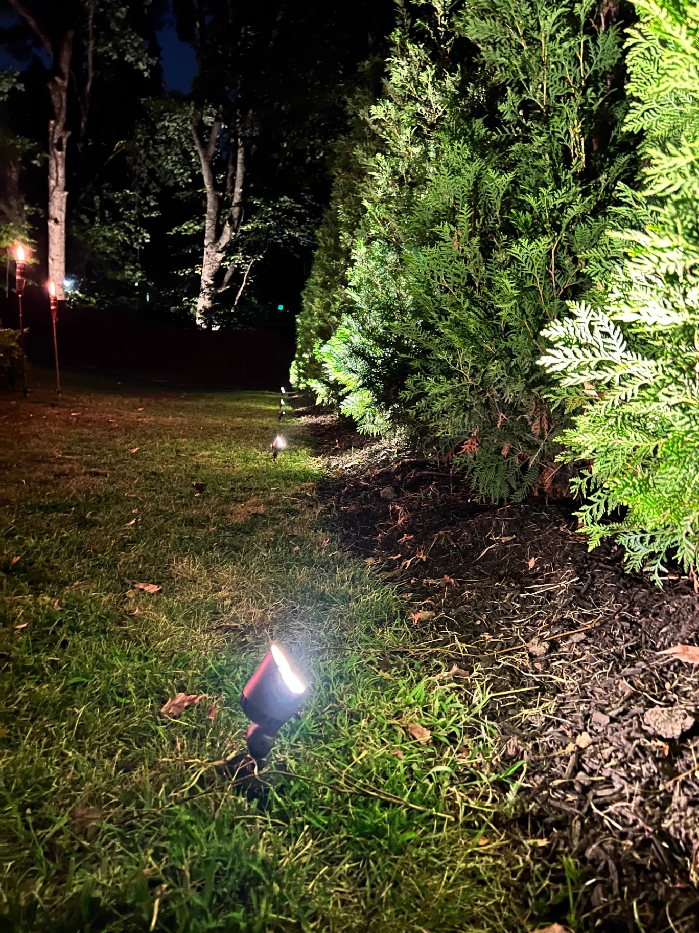 Low-voltage LED path and accent lighting on commercial entry in Kansas City