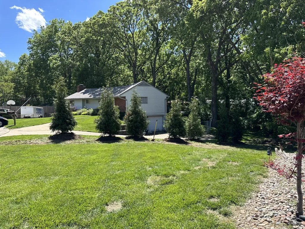Before tree installation