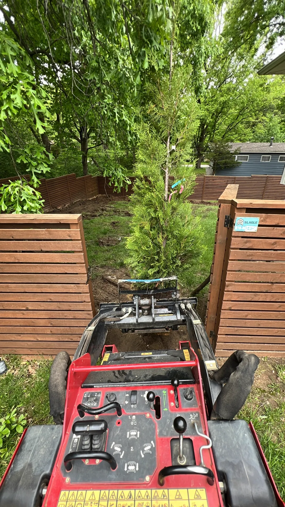 Dingo operator view during tree planting installation