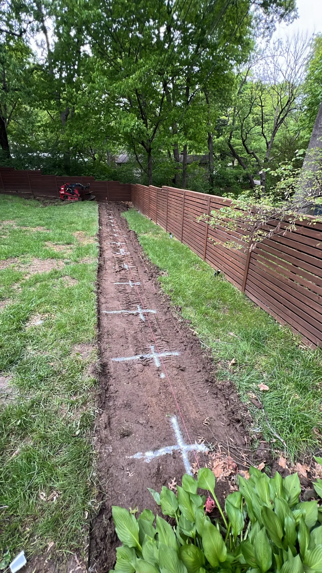 Layout and paint marking for tree planting with proper spacing